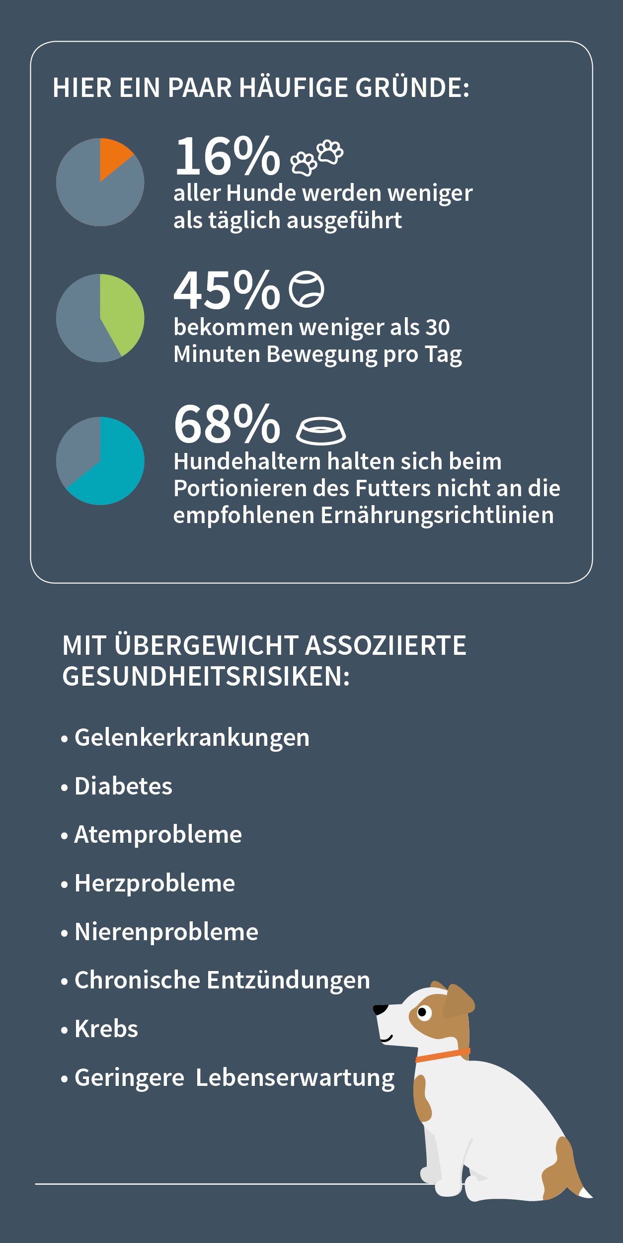 &Uuml;bergewicht bei Hunden - Infografik 2
